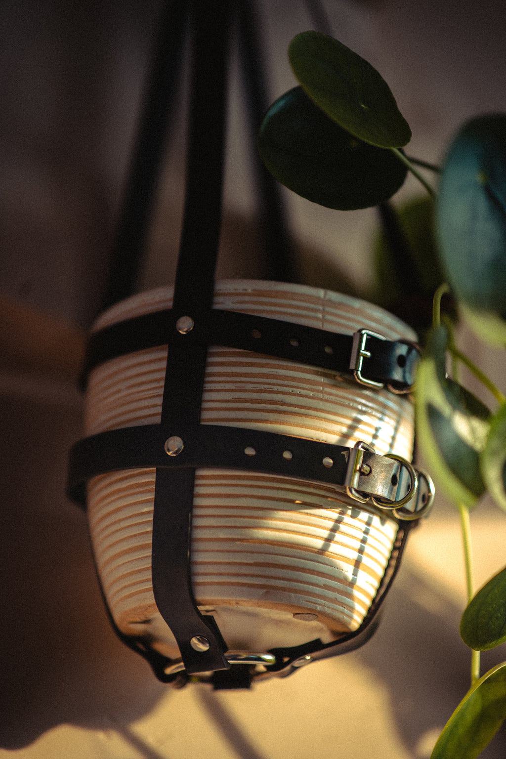 Suspension de plante full caoutchouc