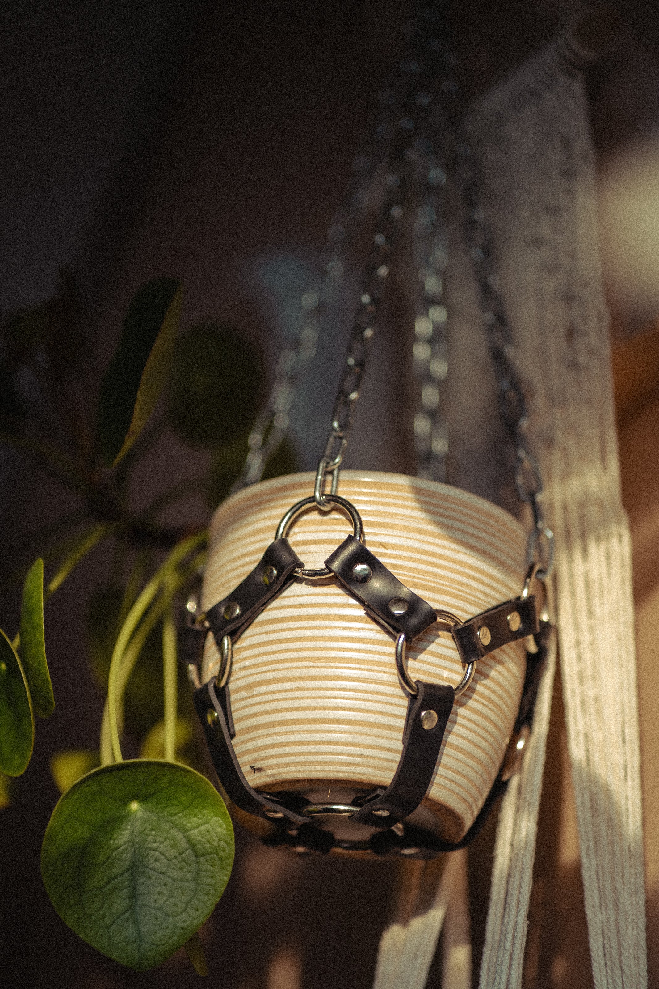 Suspension de plante chaînes et caoutchouc