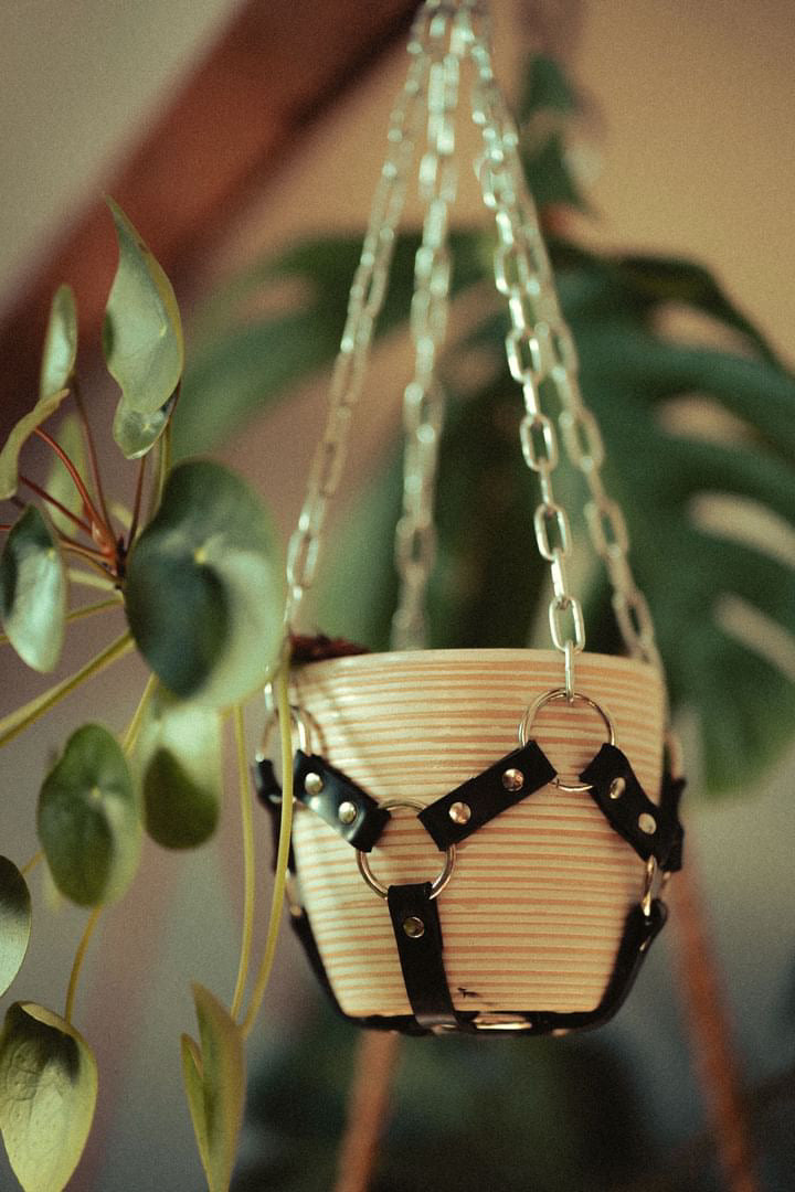 Suspension de plante chaînes et caoutchouc