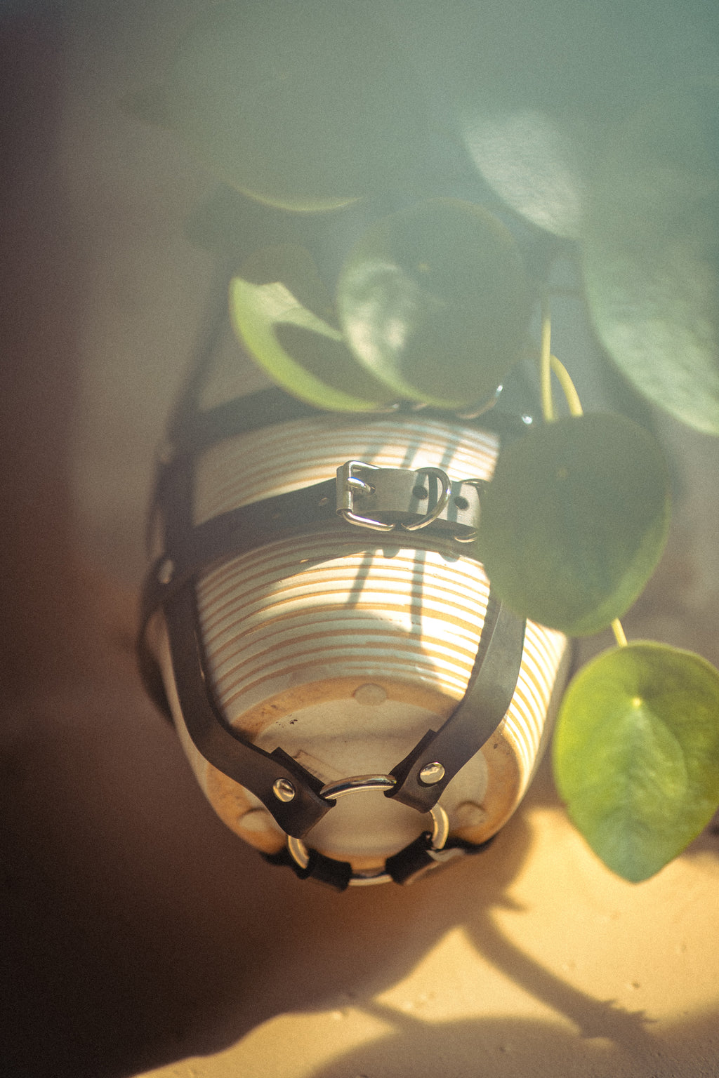 Suspension de plante full caoutchouc